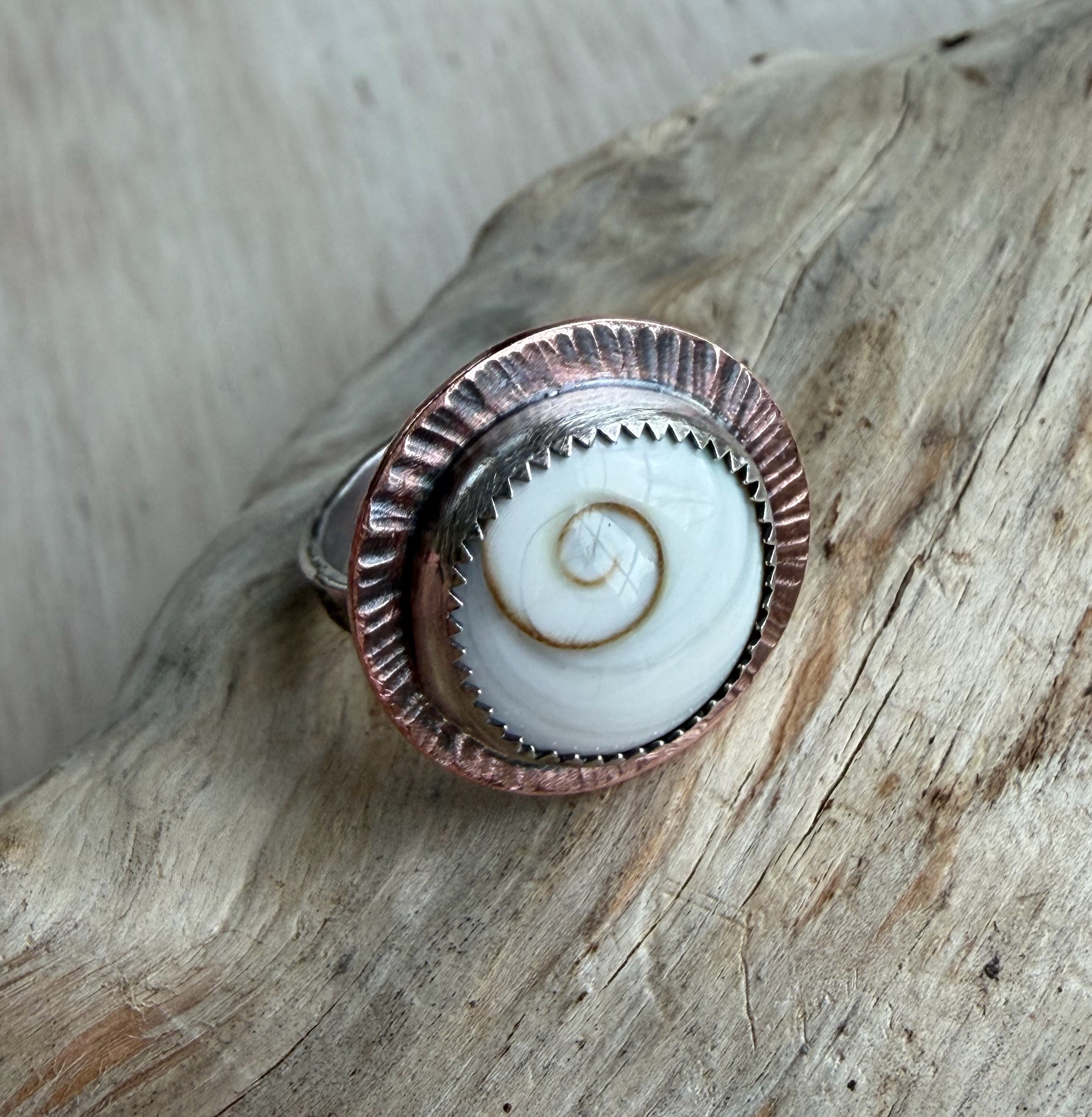 Shiva Shell Ring size 7