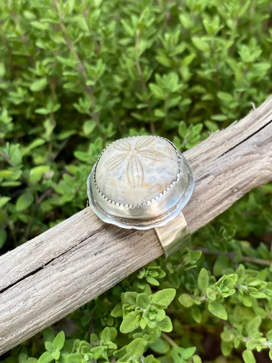 Fossilized Sea Urchin ring