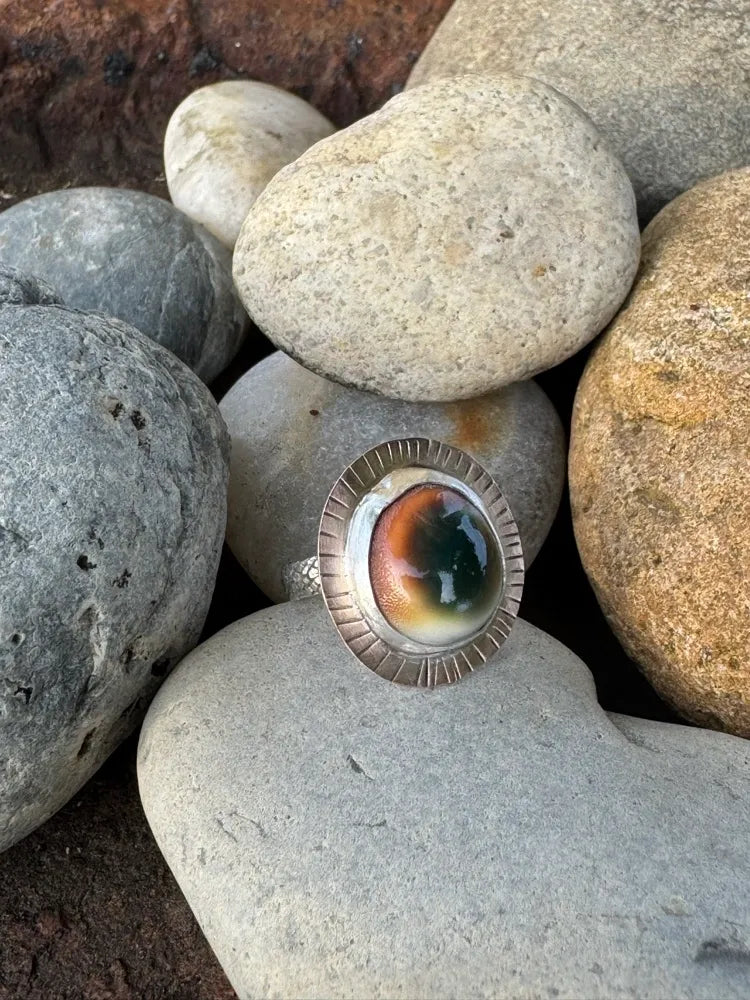 Cats Eye Snail shell