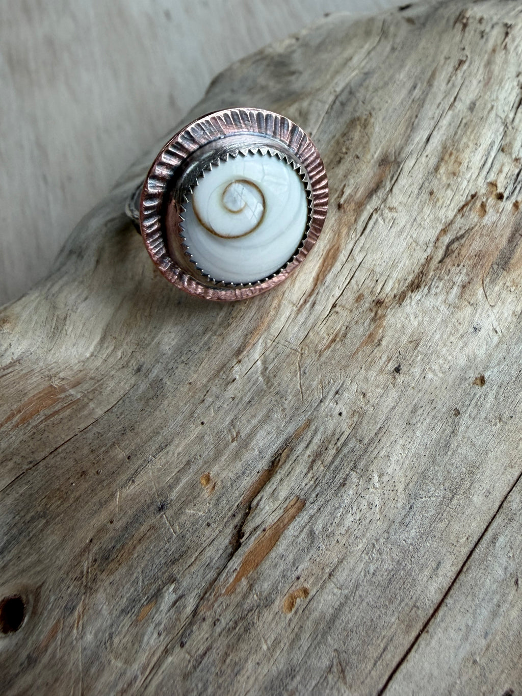 Shiva Shell Ring size 7