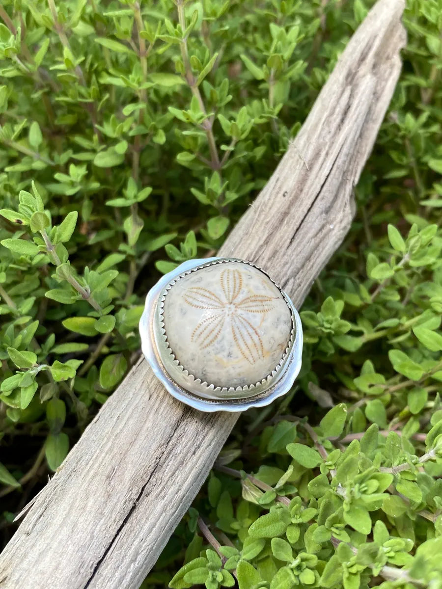 Fossilized Sea Urchin ring